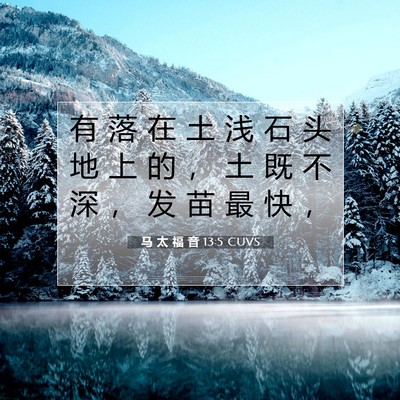 Picture 07 - 马 太 福 音 13:5 CUVS - 有 落 在 土 浅 石 头 地 上 的 ， 土 - Bible Verse Picture