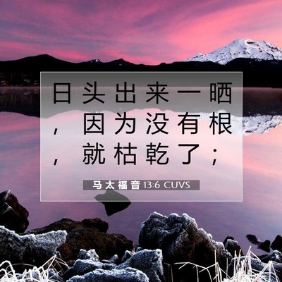 Picture 07 - 马 太 福 音 13:6 CUVS - 日 头 出 来 一 晒 ， 因 为 没 有 根 - Bible Verse Picture