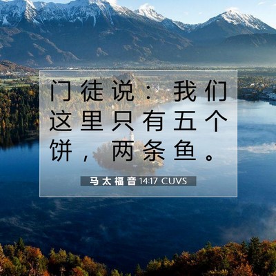 Picture 07 - 马 太 福 音 14:17 CUVS - 门 徒 说 ： 我 们 这 里 只 有 五 个 - Bible Verse Picture