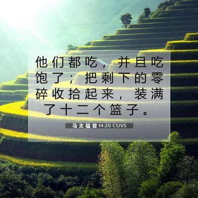 Picture 07 - 马 太 福 音 14:20 CUVS - 他 们 都 吃 ， 并 且 吃 饱 了 ； 把 - Bible Verse Picture