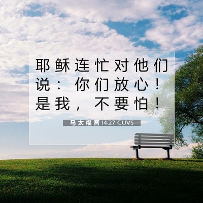 Picture 07 - 马 太 福 音 14:27 CUVS - 耶 稣 连 忙 对 他 们 说 ： 你 们 放 - Bible Verse Picture
