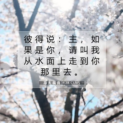 Picture 07 - 马 太 福 音 14:28 CUVS - 彼 得 说 ： 主 ， 如 果 是 你 ， 请 - Bible Verse Picture