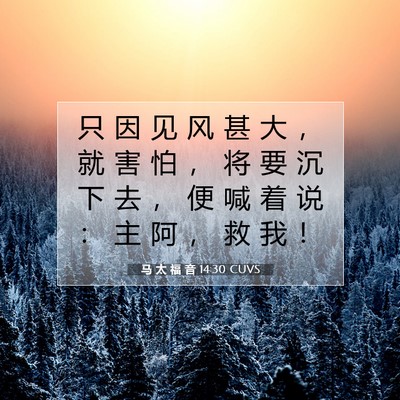 Picture 07 - 马 太 福 音 14:30 CUVS - 只 因 见 风 甚 大 ， 就 害 怕 ， 将 - Bible Verse Picture