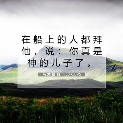 Picture 07 - 马 太 福 音 14:33 CUVS - 在 船 上 的 人 都 拜 他 ， 说 ： 你 - Bible Verse Picture