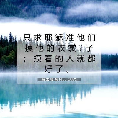 Picture 07 - 马 太 福 音 14:36 CUVS - 只 求 耶 稣 准 他 们 摸 他 的 衣 裳 ? - Bible Verse Picture