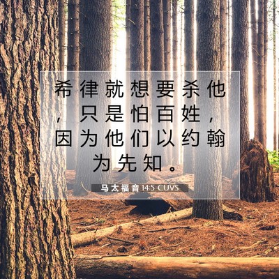 Picture 07 - 马 太 福 音 14:5 CUVS - 希 律 就 想 要 杀 他 ， 只 是 怕 百 - Bible Verse Picture