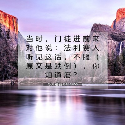 Picture 07 - 马 太 福 音 15:12 CUVS - 当 时 ， 门 徒 进 前 来 对 他 说 ： - Bible Verse Picture