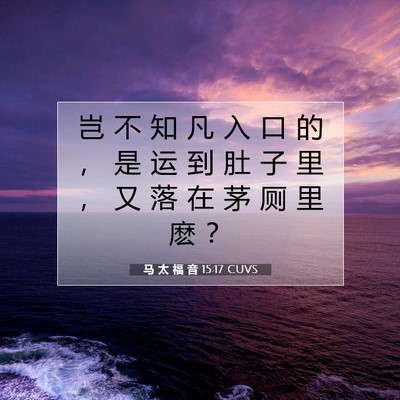 Picture 07 - 马 太 福 音 15:17 CUVS - 岂 不 知 凡 入 口 的 ， 是 运 到 肚 - Bible Verse Picture