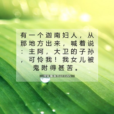 Picture 07 - 马 太 福 音 15:22 CUVS - 有 一 个 迦 南 妇 人 ， 从 那 地 方 - Bible Verse Picture