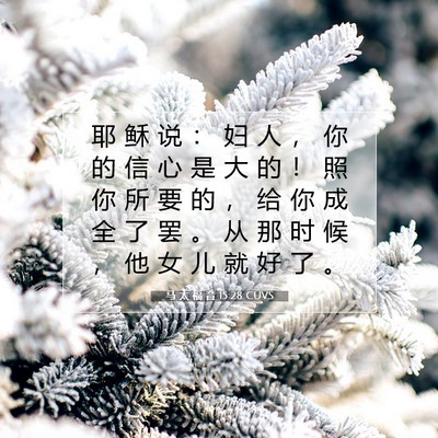 Picture 07 - 马 太 福 音 15:28 CUVS - 耶 稣 说 ： 妇 人 ， 你 的 信 心 是 - Bible Verse Picture