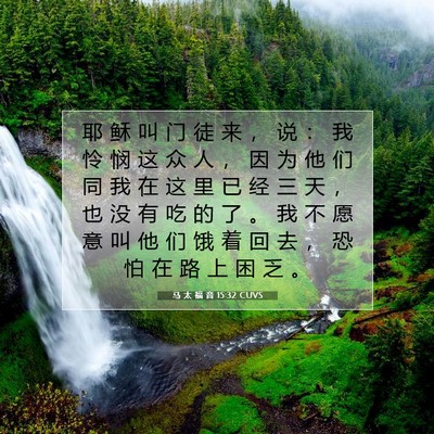 Picture 07 - 马 太 福 音 15:32 CUVS - 耶 稣 叫 门 徒 来 ， 说 ： 我 怜 悯 - Bible Verse Picture