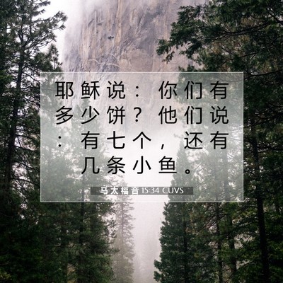 Picture 07 - 马 太 福 音 15:34 CUVS - 耶 稣 说 ： 你 们 有 多 少 饼 ？ 他 - Bible Verse Picture