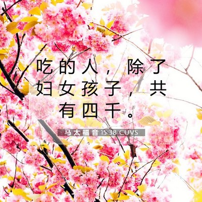 Picture 07 - 马 太 福 音 15:38 CUVS - 吃 的 人 ， 除 了 妇 女 孩 子 ， 共 - Bible Verse Picture