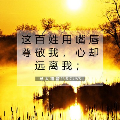 Picture 07 - 马 太 福 音 15:8 CUVS - 这 百 姓 用 嘴 唇 尊 敬 我 ， 心 却 - Bible Verse Picture