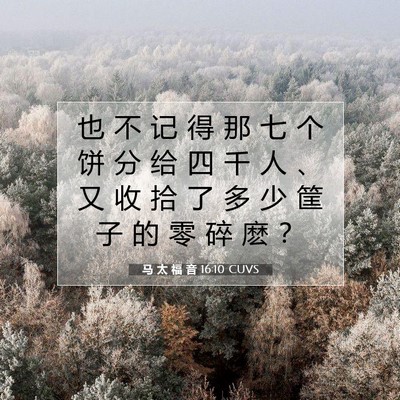 Picture 07 - 马 太 福 音 16:10 CUVS - 也 不 记 得 那 七 个 饼 分 给 四 千 - Bible Verse Picture