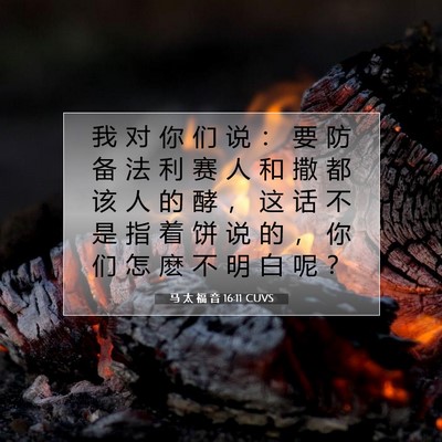 Picture 07 - 马 太 福 音 16:11 CUVS - 我 对 你 们 说 ： 要 防 备 法 利 赛 - Bible Verse Picture