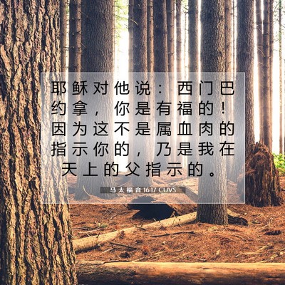 Picture 07 - 马 太 福 音 16:17 CUVS - 耶 稣 对 他 说 ： 西 门 巴 约 拿 ， - Bible Verse Picture
