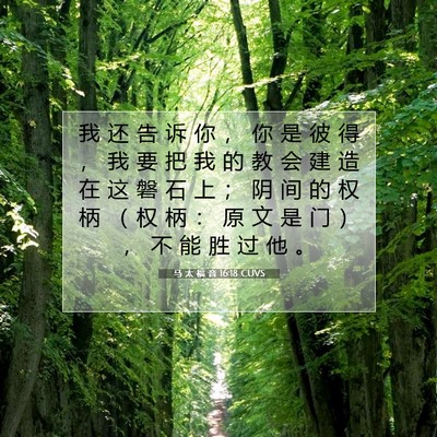 Picture 07 - 马 太 福 音 16:18 CUVS - 我 还 告 诉 你 ， 你 是 彼 得 ， 我 - Bible Verse Picture
