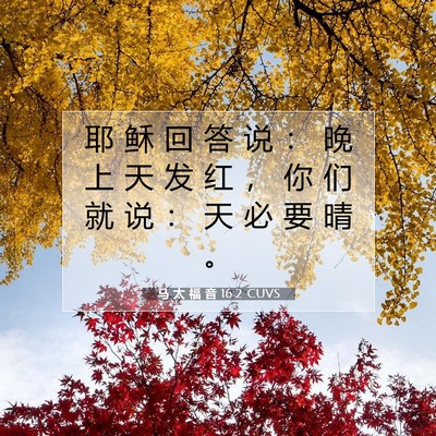 Picture 07 - 马 太 福 音 16:2 CUVS - 耶 稣 回 答 说 ： 晚 上 天 发 红 ， - Bible Verse Picture