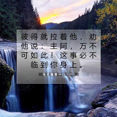 Picture 07 - 马 太 福 音 16:22 CUVS - 彼 得 就 拉 着 他 ， 劝 他 说 ： 主 - Bible Verse Picture