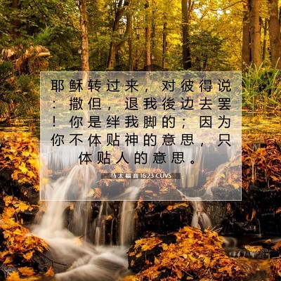 Picture 07 - 马 太 福 音 16:23 CUVS - 耶 稣 转 过 来 ， 对 彼 得 说 ： 撒 - Bible Verse Picture