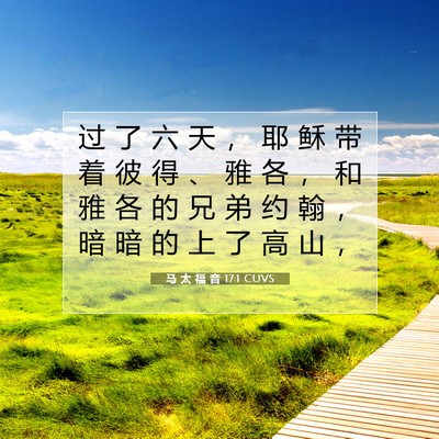 Picture 07 - 马 太 福 音 17:1 CUVS - 过 了 六 天 ， 耶 稣 带 着 彼 得 、 - Bible Verse Picture