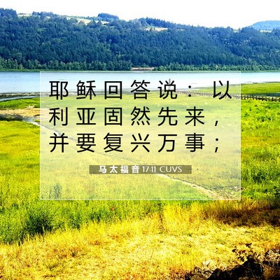 Picture 07 - 马 太 福 音 17:11 CUVS - 耶 稣 回 答 说 ： 以 利 亚 固 然 先 - Bible Verse Picture