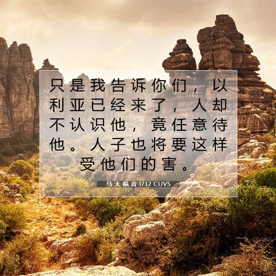 Picture 07 - 马 太 福 音 17:12 CUVS - 只 是 我 告 诉 你 们 ， 以 利 亚 已 - Bible Verse Picture