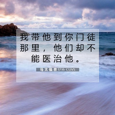 Picture 07 - 马 太 福 音 17:16 CUVS - 我 带 他 到 你 门 徒 那 里 ， 他 们 - Bible Verse Picture