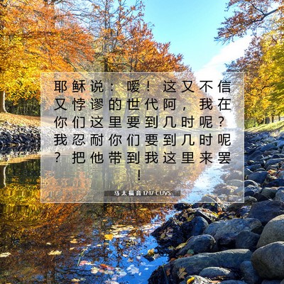 Picture 07 - 马 太 福 音 17:17 CUVS - 耶 稣 说 ： 嗳 ！ 这 又 不 信 又 悖 - Bible Verse Picture