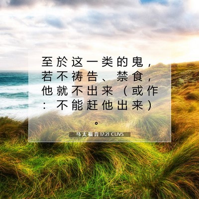 Picture 07 - 马 太 福 音 17:21 CUVS - 至 於 这 一 类 的 鬼 ， 若 不 祷 告 - Bible Verse Picture