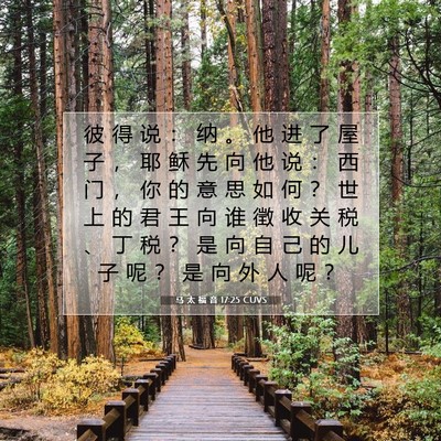 Picture 07 - 马 太 福 音 17:25 CUVS - 彼 得 说 ： 纳 。 他 进 了 屋 子 ， - Bible Verse Picture