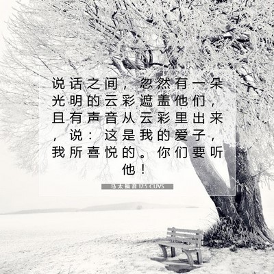 Picture 07 - 马 太 福 音 17:5 CUVS - 说 话 之 间 ， 忽 然 有 一 朵 光 明 - Bible Verse Picture