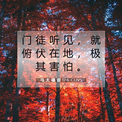 Picture 07 - 马 太 福 音 17:6 CUVS - 门 徒 听 见 ， 就 俯 伏 在 地 ， 极 - Bible Verse Picture