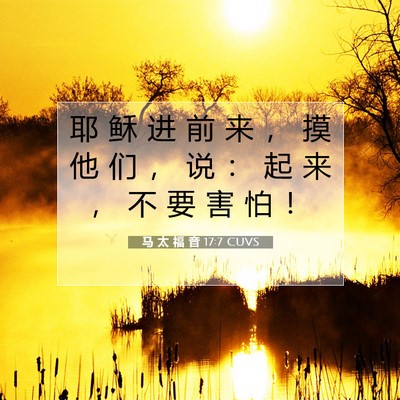 Picture 07 - 马 太 福 音 17:7 CUVS - 耶 稣 进 前 来 ， 摸 他 们 ， 说 ： - Bible Verse Picture