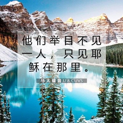 Picture 07 - 马 太 福 音 17:8 CUVS - 他 们 举 目 不 见 一 人 ， 只 见 耶 - Bible Verse Picture
