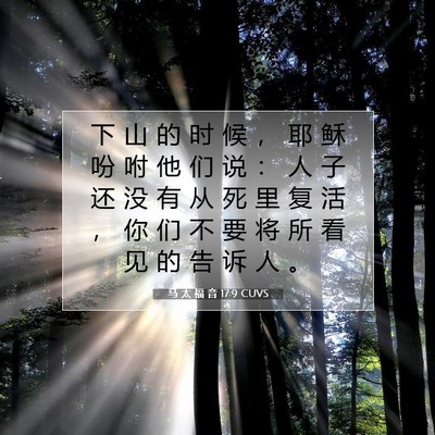 Picture 07 - 马 太 福 音 17:9 CUVS - 下 山 的 时 候 ， 耶 稣 吩 咐 他 们 - Bible Verse Picture