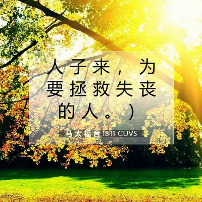 Picture 07 - 马 太 福 音 18:11 CUVS - 人 子 来 ， 为 要 拯 救 失 丧 的 人 - Bible Verse Picture