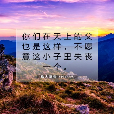 Picture 07 - 马 太 福 音 18:14 CUVS - 你 们 在 天 上 的 父 也 是 这 样 ， - Bible Verse Picture