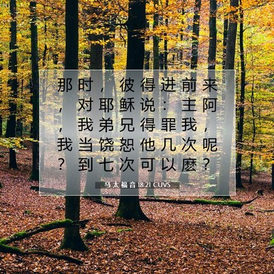 Picture 07 - 马 太 福 音 18:21 CUVS - 那 时 ， 彼 得 进 前 来 ， 对 耶 稣 - Bible Verse Picture