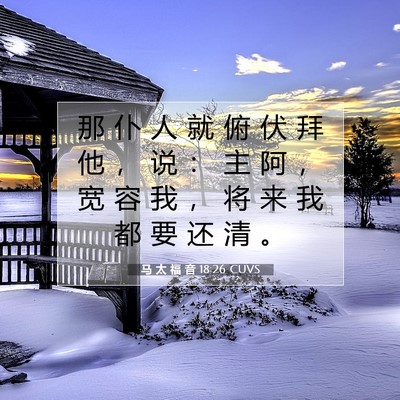Picture 07 - 马 太 福 音 18:26 CUVS - 那 仆 人 就 俯 伏 拜 他 ， 说 ： 主 - Bible Verse Picture