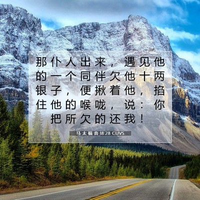 Picture 07 - 马 太 福 音 18:28 CUVS - 那 仆 人 出 来 ， 遇 见 他 的 一 个 - Bible Verse Picture