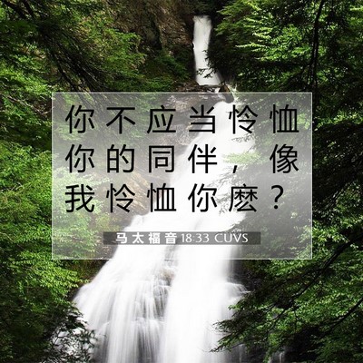 Picture 07 - 马 太 福 音 18:33 CUVS - 你 不 应 当 怜 恤 你 的 同 伴 ， 像 - Bible Verse Picture