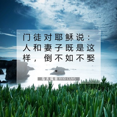 Picture 07 - 马 太 福 音 19:10 CUVS - 门 徒 对 耶 稣 说 ： 人 和 妻 子 既 - Bible Verse Picture