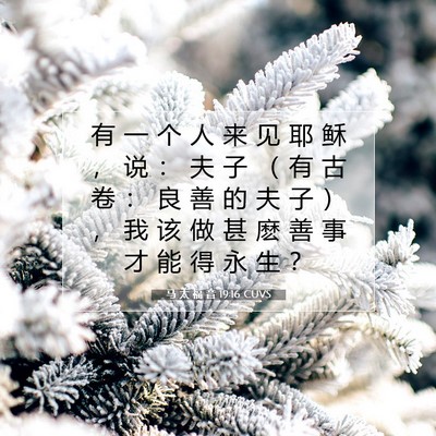 Picture 07 - 马 太 福 音 19:16 CUVS - 有 一 个 人 来 见 耶 稣 ， 说 ： 夫 - Bible Verse Picture