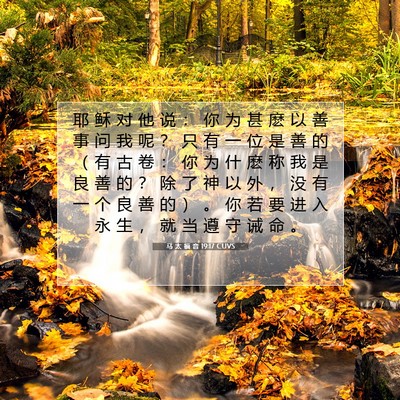 Picture 07 - 马 太 福 音 19:17 CUVS - 耶 稣 对 他 说 ： 你 为 甚 麽 以 善 - Bible Verse Picture