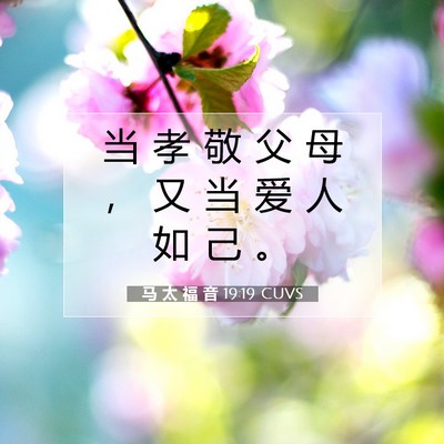 Picture 07 - 马 太 福 音 19:19 CUVS - 当 孝 敬 父 母 ， 又 当 爱 人 如 己 - Bible Verse Picture