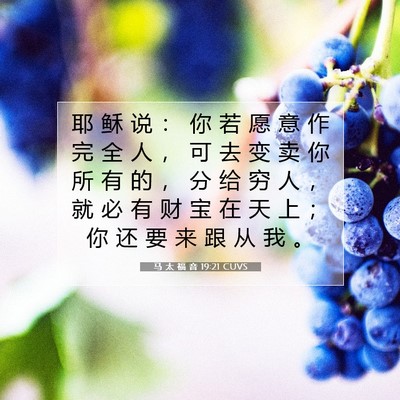 Picture 07 - 马 太 福 音 19:21 CUVS - 耶 稣 说 ： 你 若 愿 意 作 完 全 人 - Bible Verse Picture