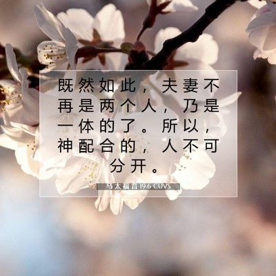 Picture 07 - 马 太 福 音 19:6 CUVS - 既 然 如 此 ， 夫 妻 不 再 是 两 个 - Bible Verse Picture