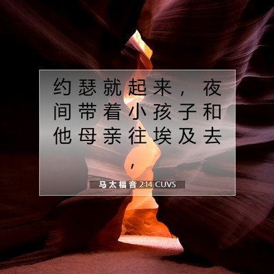 Picture 07 - 马 太 福 音 2:14 CUVS - 约 瑟 就 起 来 ， 夜 间 带 着 小 孩 - Bible Verse Picture